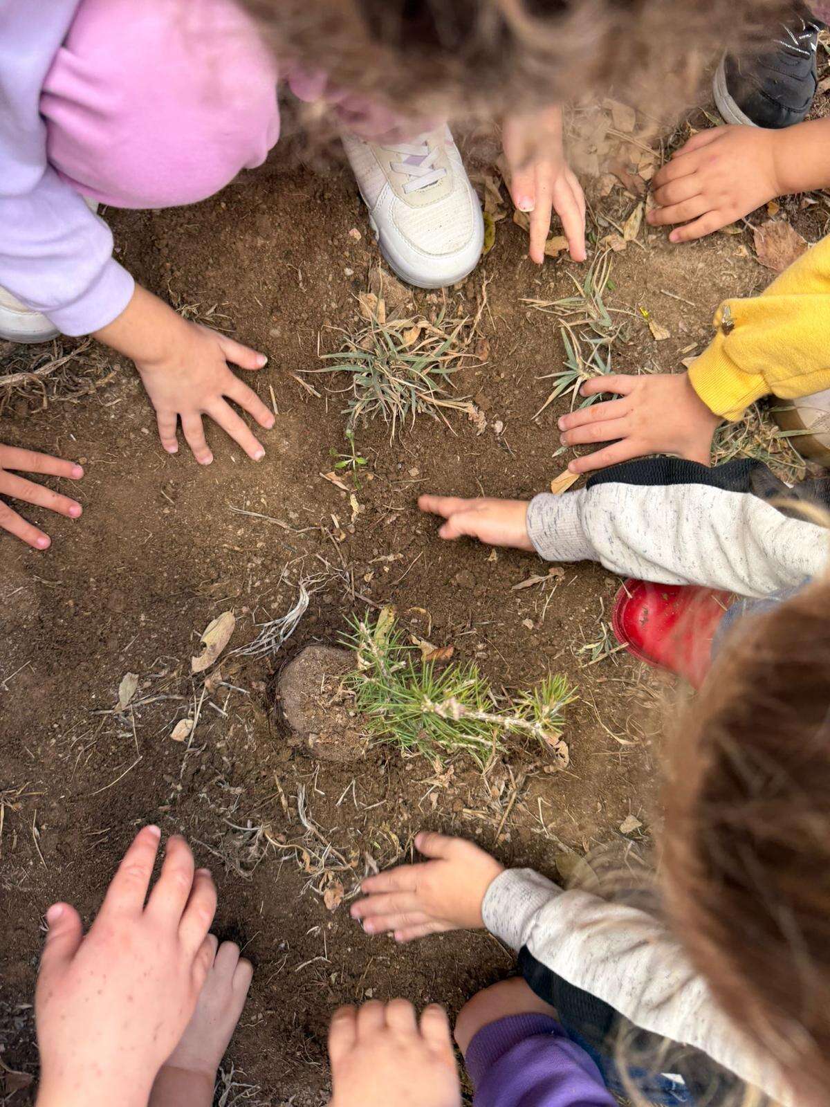 Konya’nın küçük ekoloji elçileri doğayı keşfediyor 10